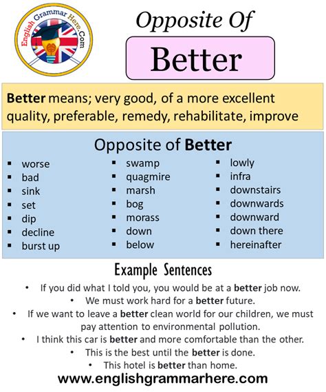 137 Synonyms & Antonyms for BETTER .